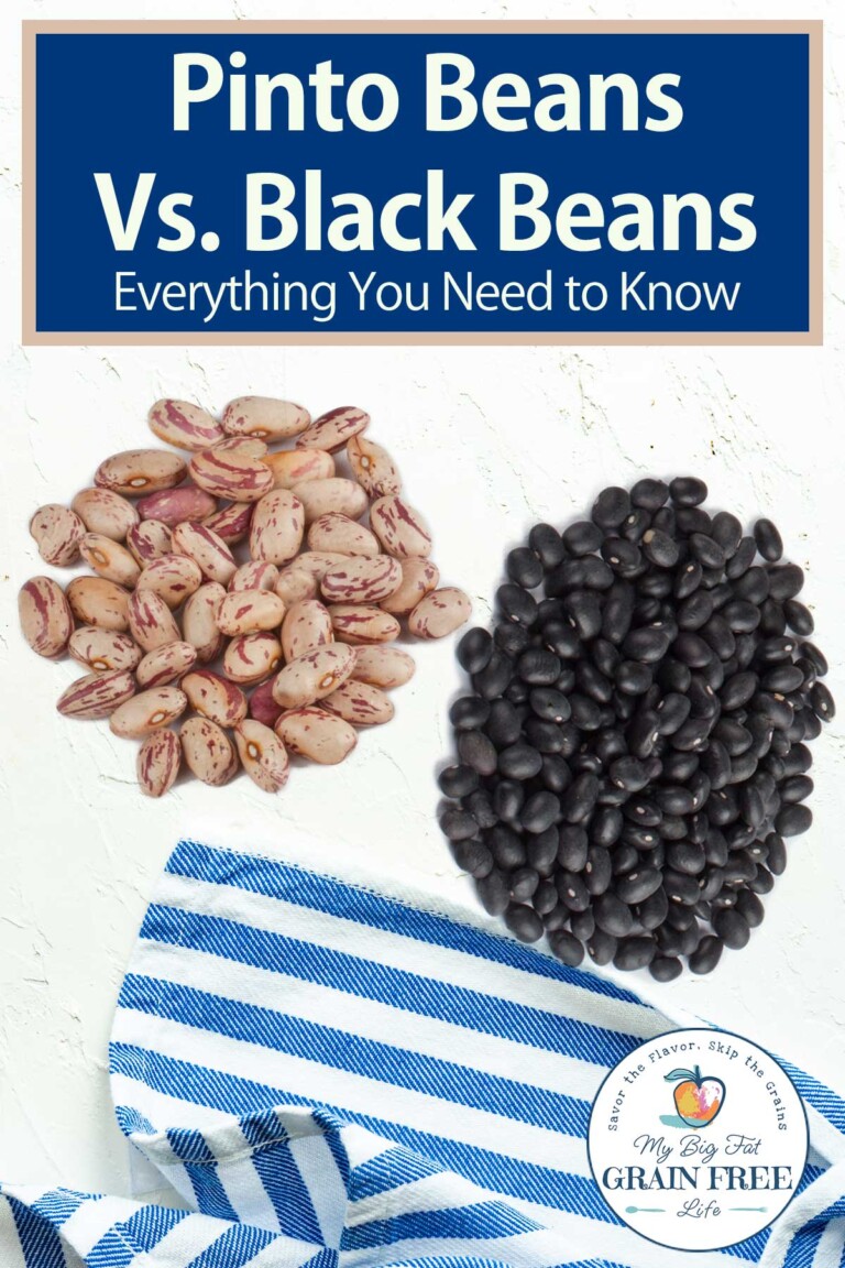 Pinto Beans vs Black Beans: Everything You Need to Know