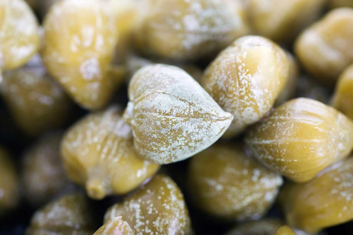 25 Health Benefits of Capers (How to Use This Superfood)