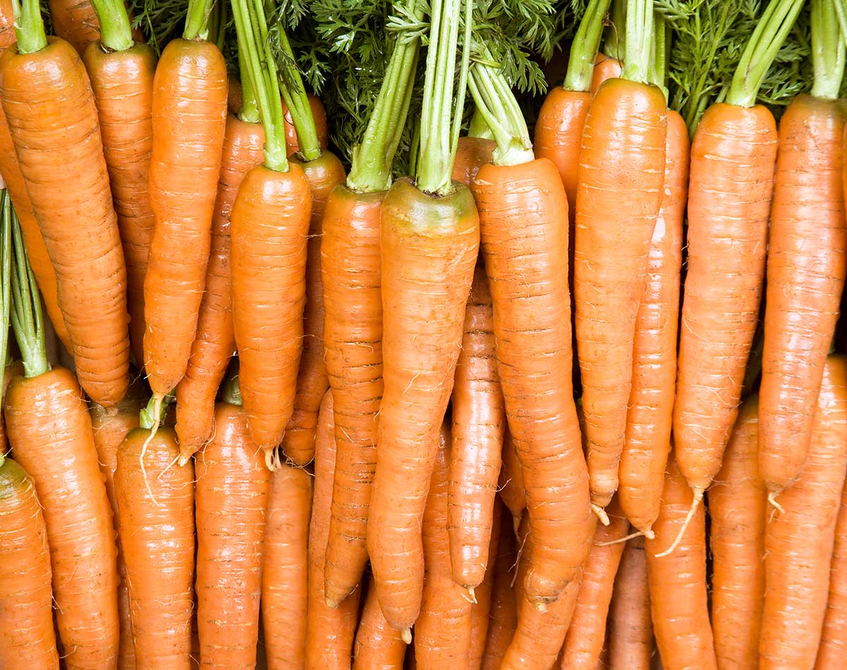 Carrots