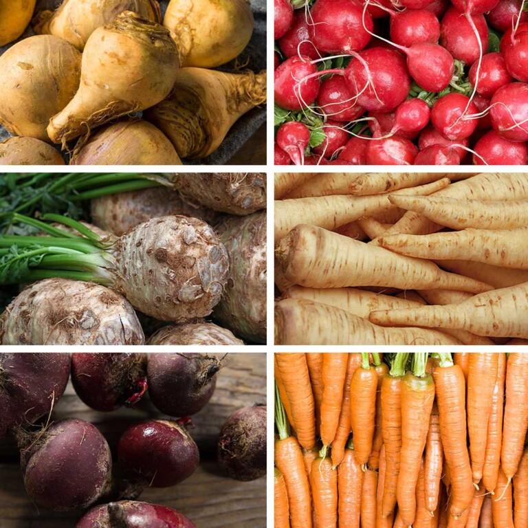 Low Starch Root Vegetables Guide for a Low-Carb Diet