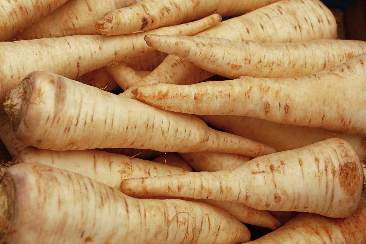 Parsnips