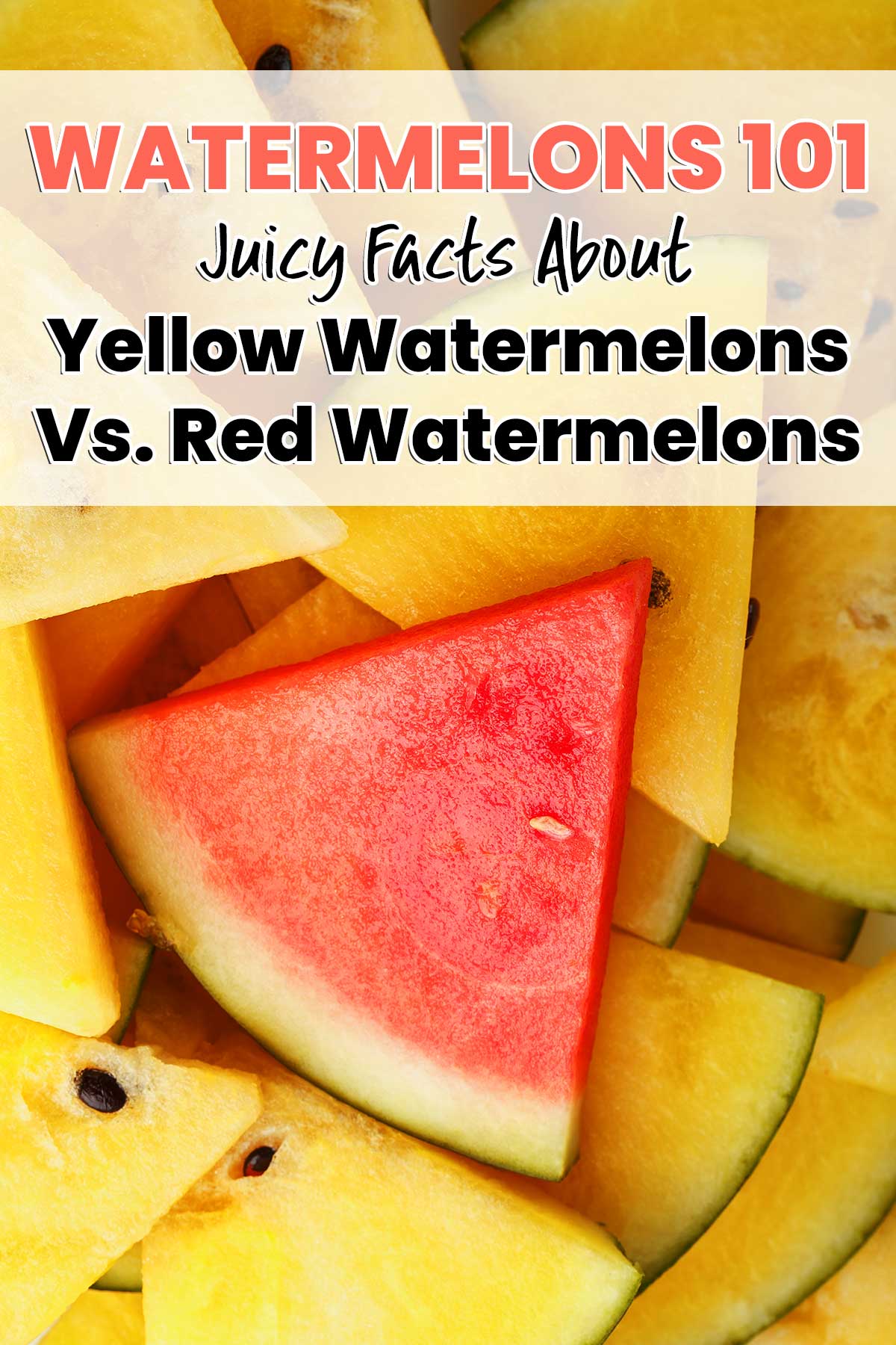 Yellow Watermelon vs Red Watermelon