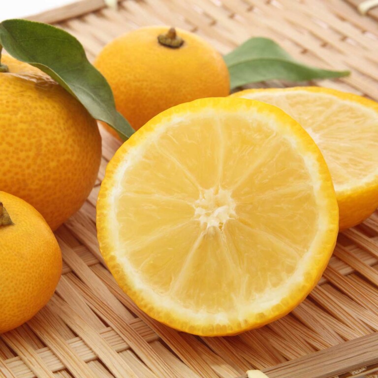 Surprising Health Benefits of Yuzu Fruit + Ways to Use It