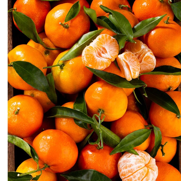 Citrus Showdown: Clementine vs Mandarin vs Tangerine