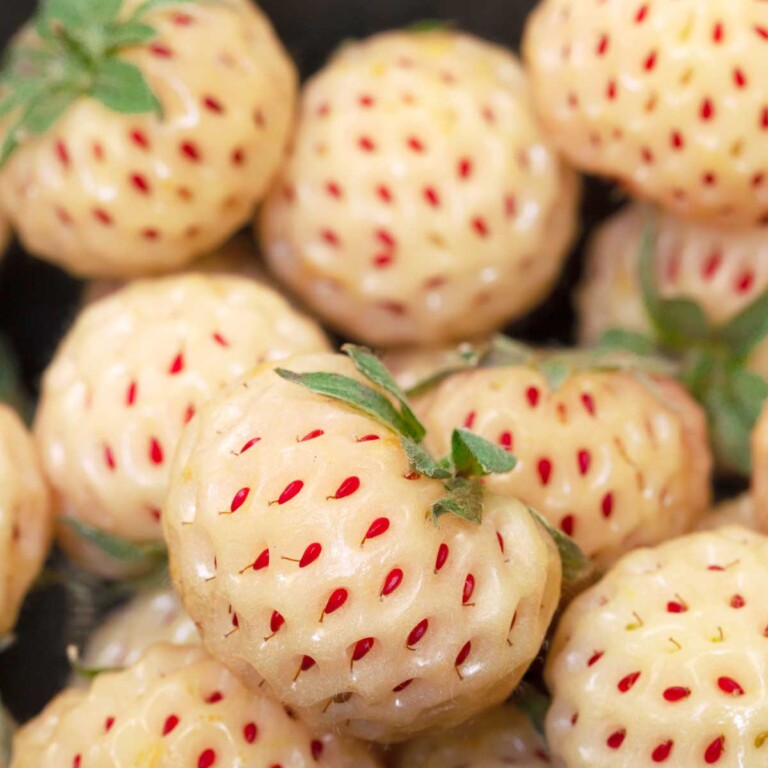 Pineberries: The White Strawberry You Need to Try