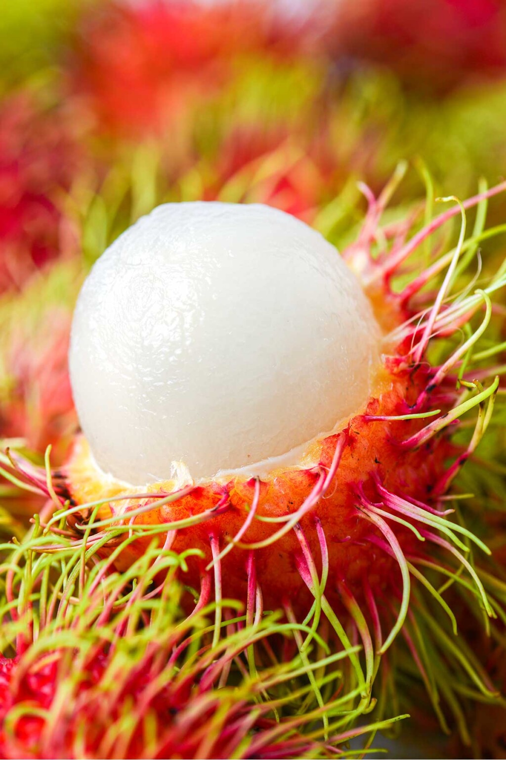 Rambutan: The Quirky Fruit Packed with Benefits