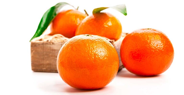 Citrus Showdown: Clementine vs Mandarin vs Tangerine