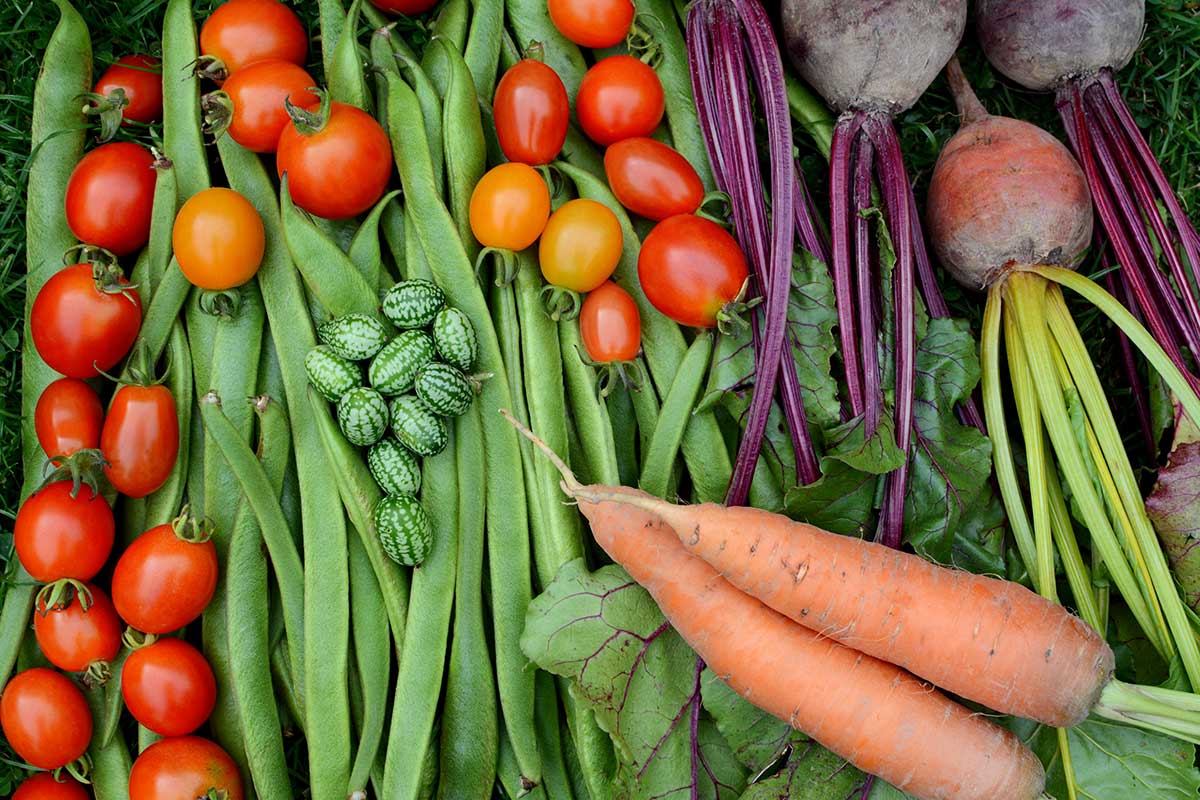 cucamelons and vegetables