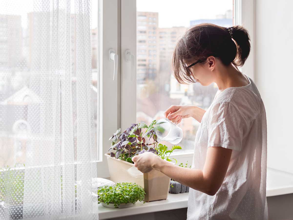 woman watering microgreens