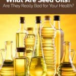 what are seed oils?